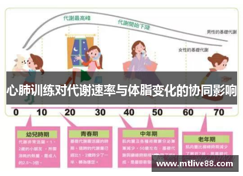 心肺训练对代谢速率与体脂变化的协同影响