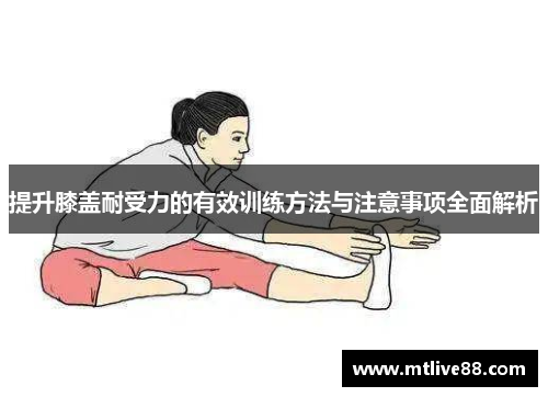 提升膝盖耐受力的有效训练方法与注意事项全面解析